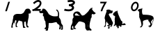 kostenloser counter